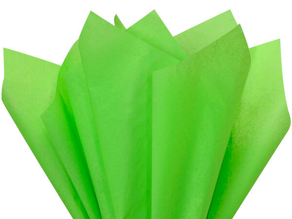 Sage Tissue Paper Squares, Bulk 480 Sheets, Premium Gift Wrap and Art Supplies for Birthdays, Holidays, or Presents by Feronia packaging, Large 15 Inch x 20 Inch